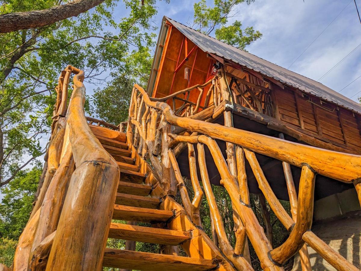 Wooden Cabana Sigirija Zewnętrze zdjęcie