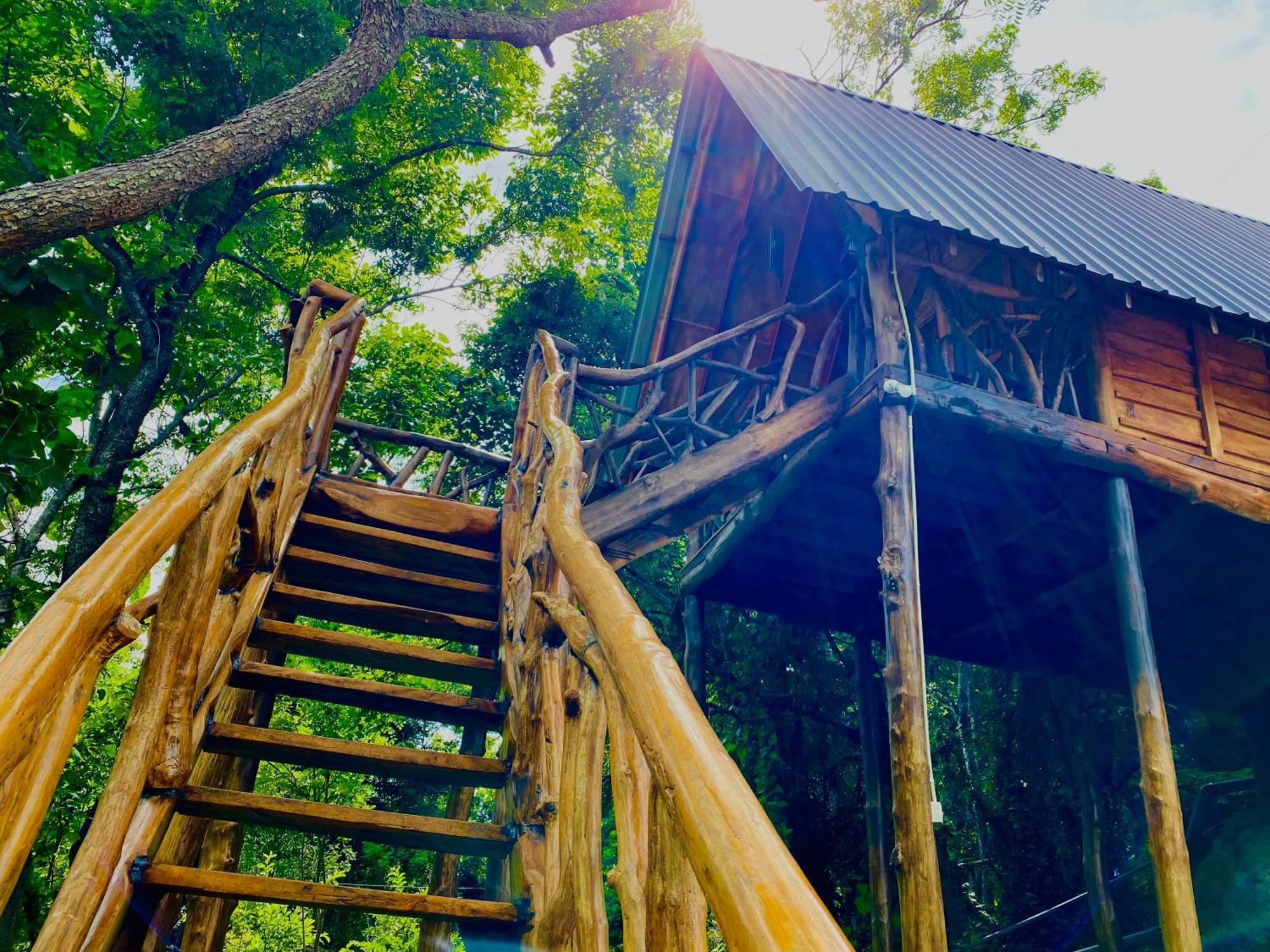 Wooden Cabana Sigirija Zewnętrze zdjęcie